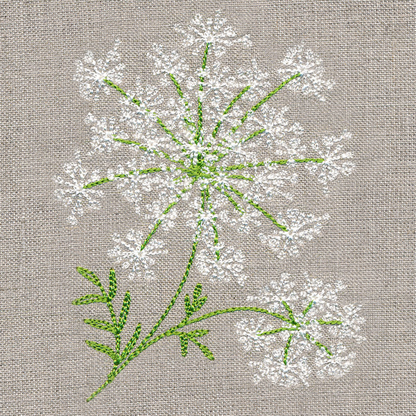 Dainty Queen Anne's Lace - Image 7