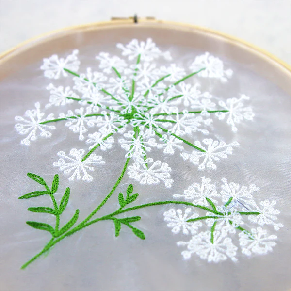 Dainty Queen Anne's Lace - Image 8
