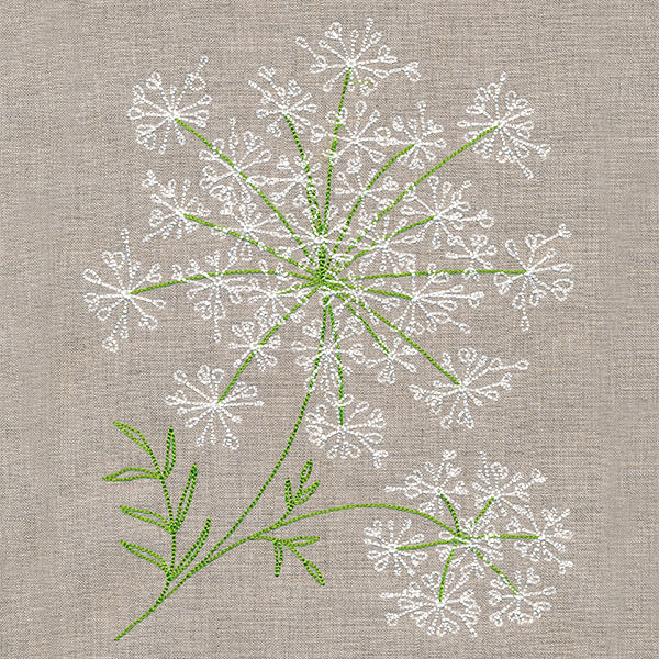 Dainty Queen Anne's Lace - Image 9