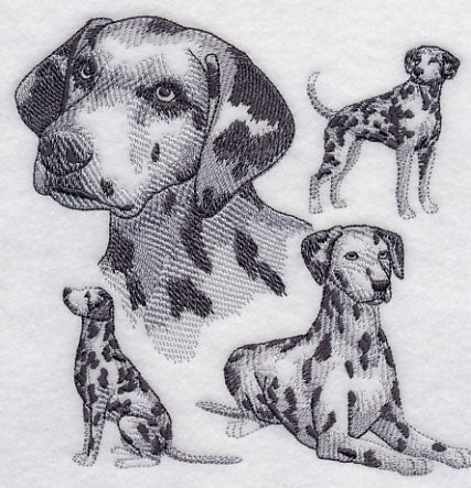 Dalmatian Sketch - Image 3