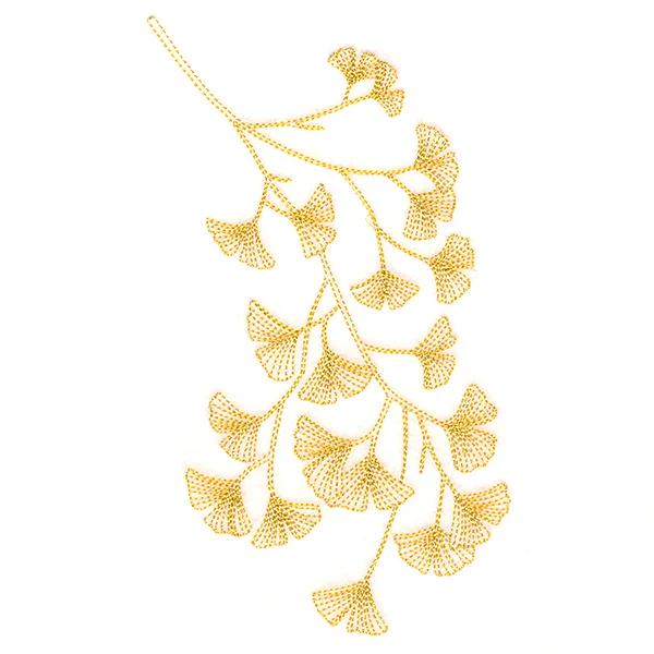 Delicate Branching Ginkgo - Image 4