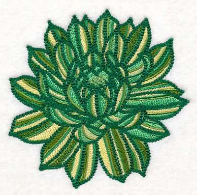 Delicate Garden Succulent - Image 4