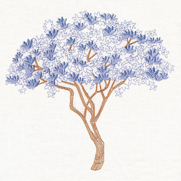 Delicate Magnolia Tree