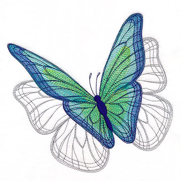 Delicate Shadows Butterfly