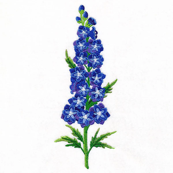 Delight and  Belladonna Delphinium Tall Border - Image 3