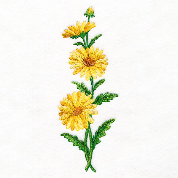 Delight and Daisies Tall Border - Image 3