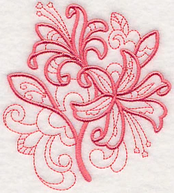 Doodle Nerine - Image 3