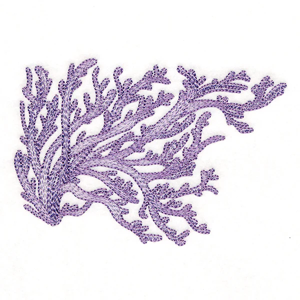 Dreamy Coral 4