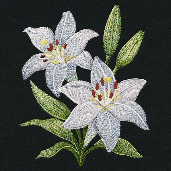 Easter Lily Blooms - Image 2