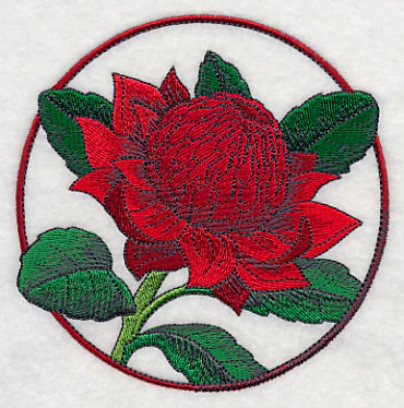 Elegant Flower Circle - Waratah - Image 4