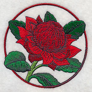 Elegant Flower Circle - Waratah - Image 5