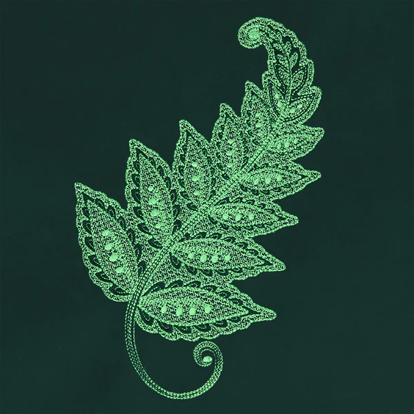 Emerald Dreams Fern - Image 3