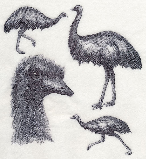 Emu Sketch - Image 2