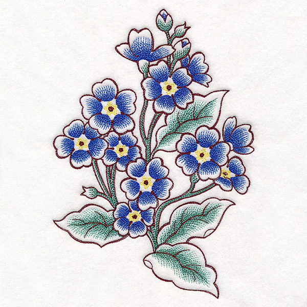 English Primrose in Bloom - Image 3