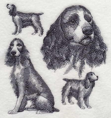 English Springer Spaniel Sketch (Docked Tail) - Image 3