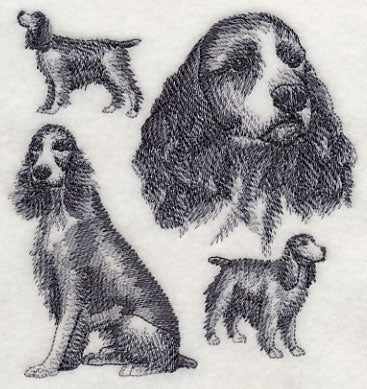 English Springer Spaniel Sketch (Docked Tail) - Image 4