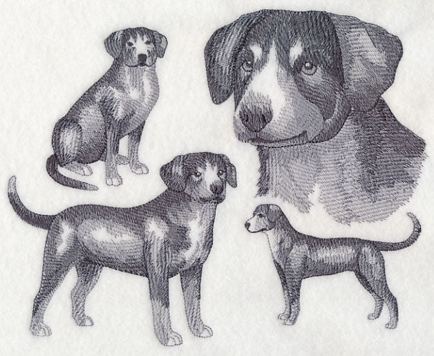 Entlebucher Mountain Dog Sketch (Full Tail) - Image 5