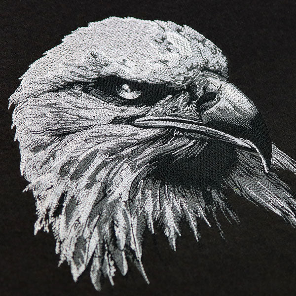 Etching Bald Eagle - Image 6