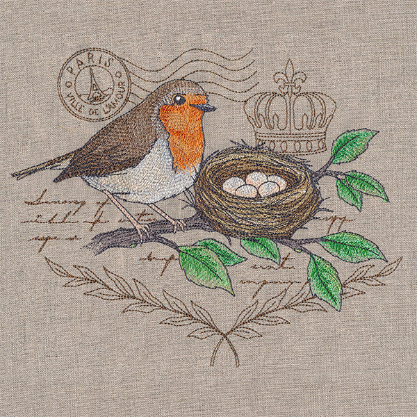 European Robin Medley - Image 4