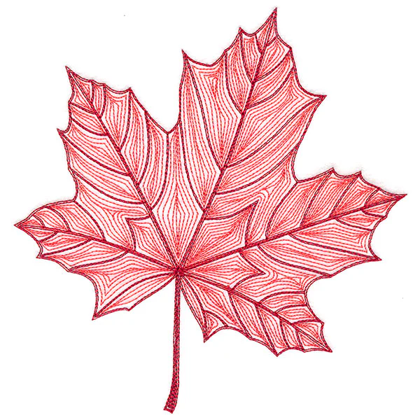 Fall into Autumn - Maple Leaf - Image 2