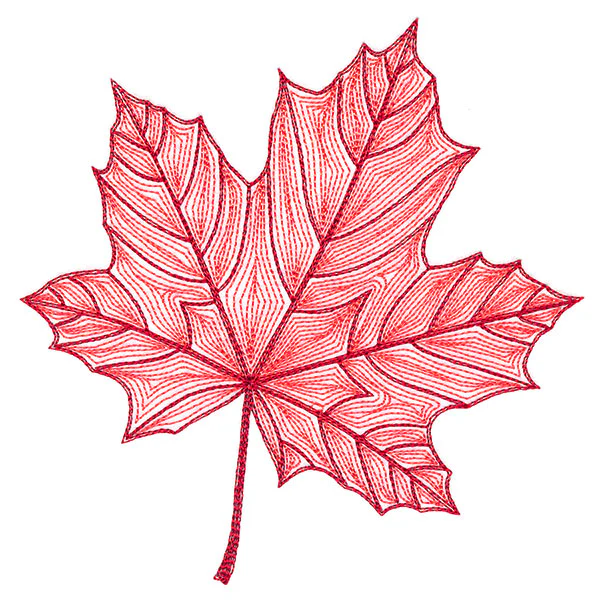 Fall into Autumn - Maple Leaf - Image 3