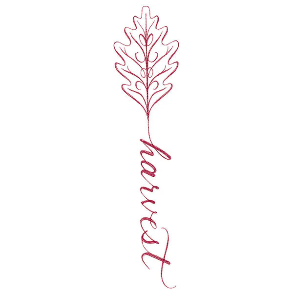 Fall Leaves Calligraphy - Harvest - Image 11