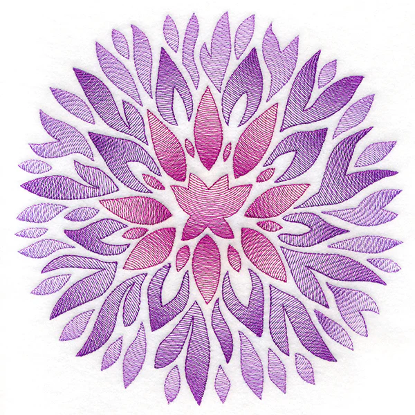 Fanciful Fall Chrysanthemum