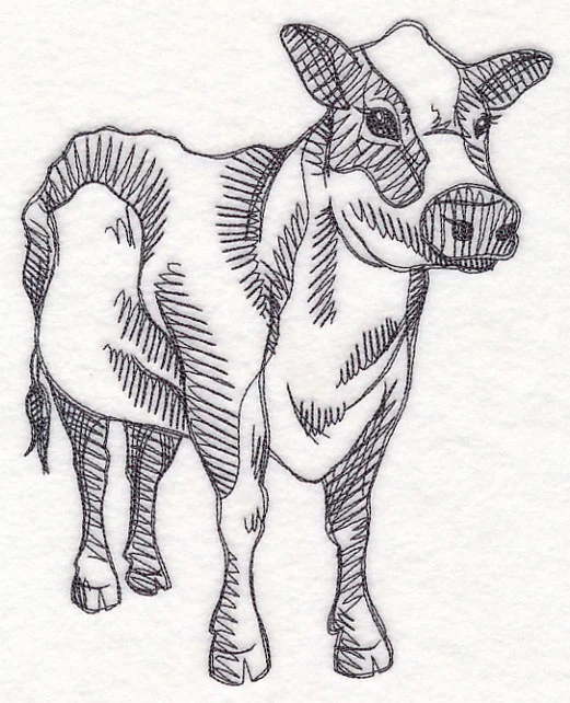 Farm Animal Sketch - Cow