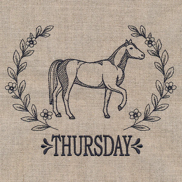 Farmhouse Horse on Thursday