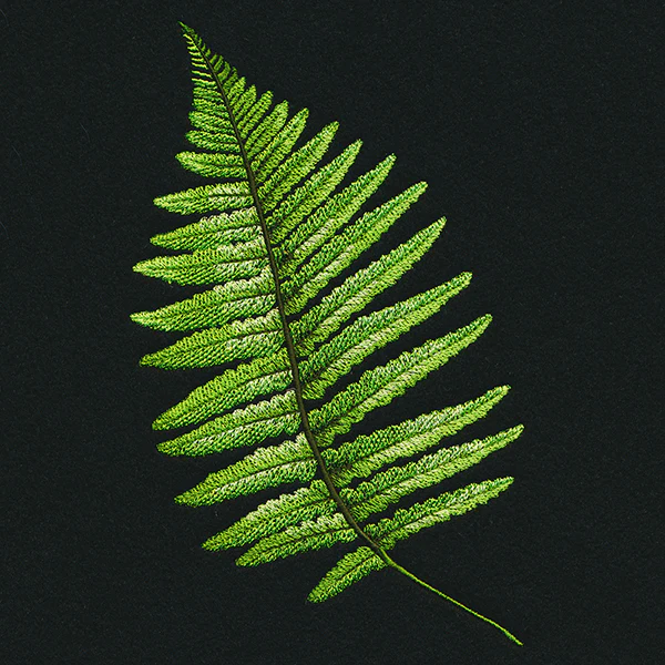 Fern Flourish - Image 3