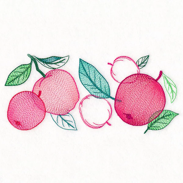 Festive Harvest Apples Border - Image 5