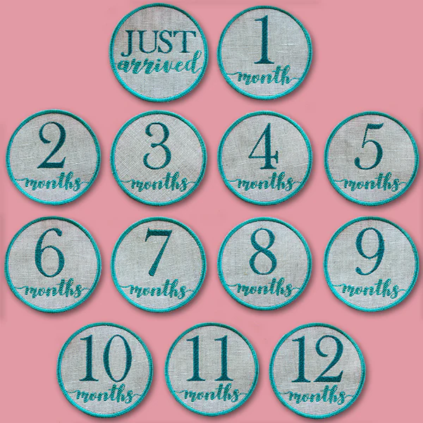 First Year Milestone Marker - Nine Months (In-the-Hoop) - Image 2