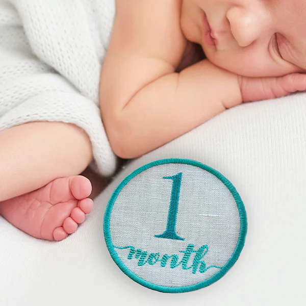 First Year Milestone Markers (In-the-Hoop) Design Pack - Image 3