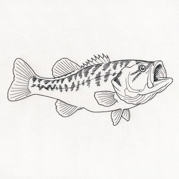 Fisherman's Fancy - Image 2