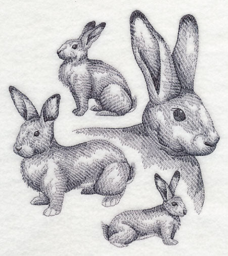 Flemish Giant Rabbit Sketch - Image 2