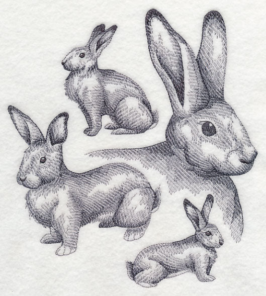 Flemish Giant Rabbit Sketch - Image 4