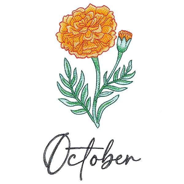 Flower of the Year - October - Image 2