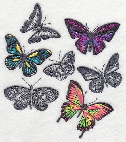 Fluttering Colors - Image 2