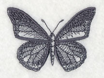 Fluttering Colors 5