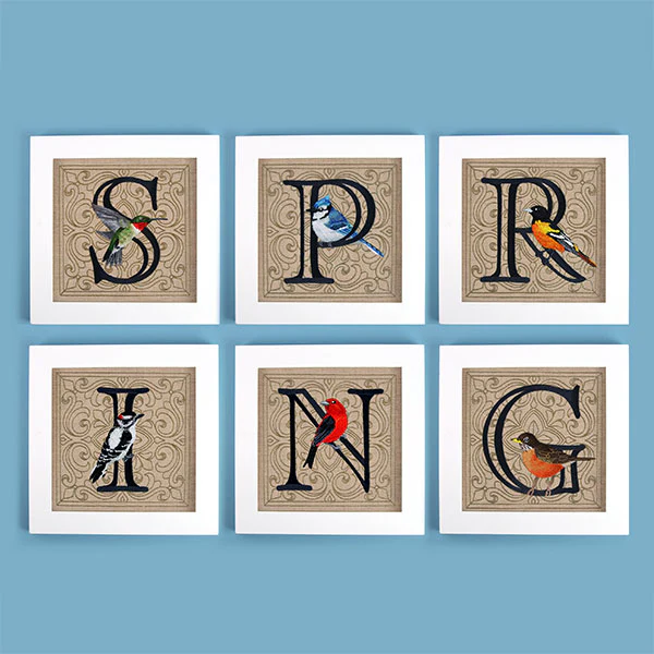 For the Love of Spring Birds Square - Letter S and Ruby Throated Hummingbird - Image 6