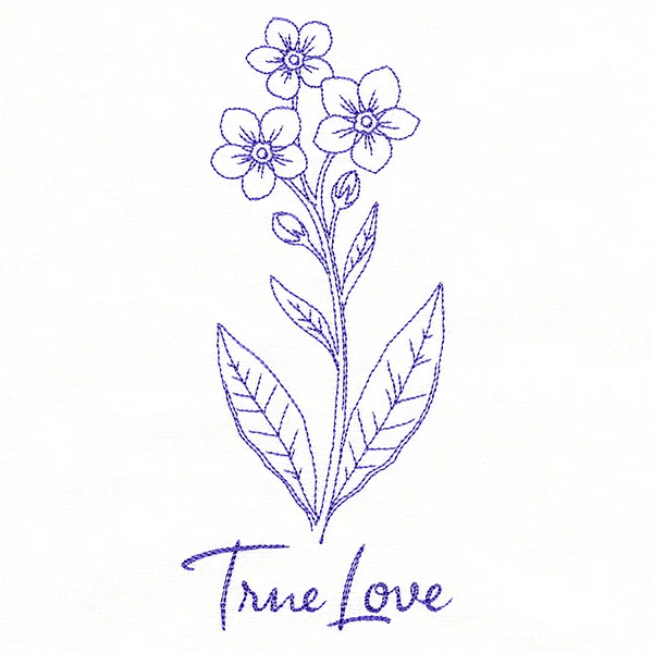 Forget-Me-Nots of True Love (Vintage) - Image 3