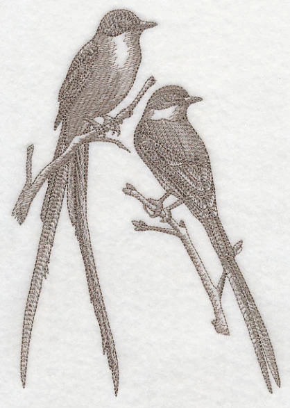 Fork-tailed Flycatchers (Toile) - Image 3