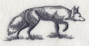 Fox in Nature 5