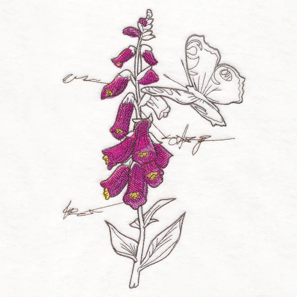 Foxglove Botanicals - Image 5