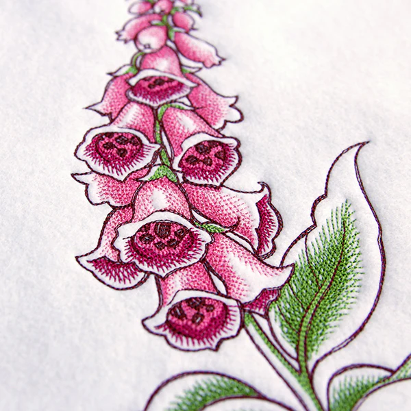 Foxglove in Bloom - Image 2