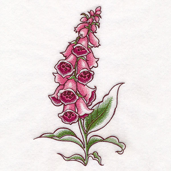 Foxglove in Bloom - Image 5