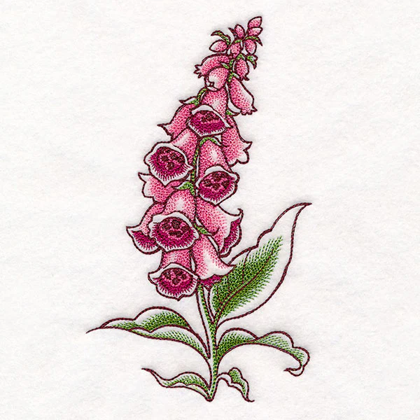 Foxglove in Bloom - Image 7