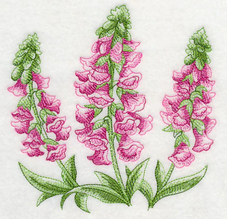 Foxglove Sketch - Image 3