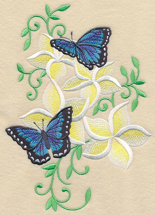 Frangipani and Butterflies