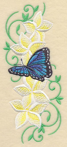 Frangipani and Butterfly Plume - Image 4